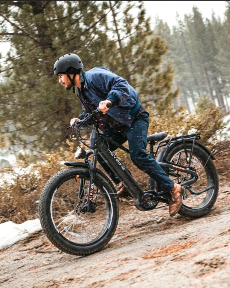 Heybike Alpha Offroad