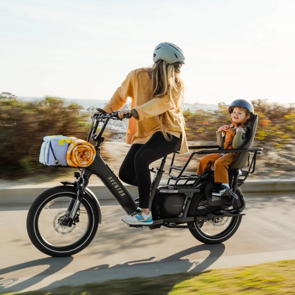 Abound LR Cargo Ebike