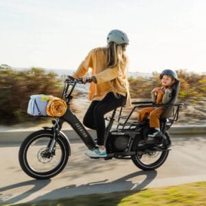 Abound LR Cargo Ebike