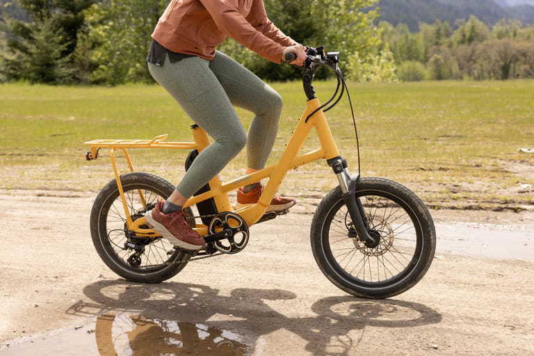 rent REI ebike