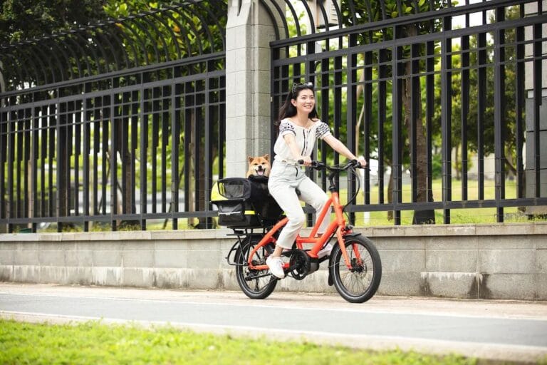 Tern Ebike Quick Haul